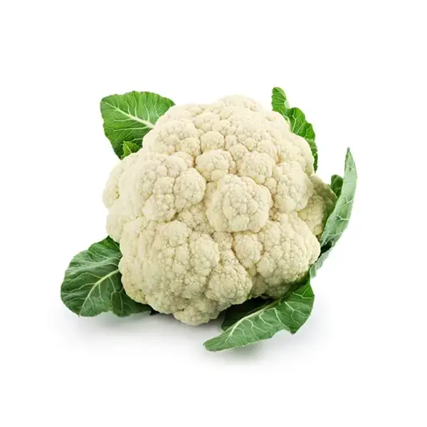 product-img-6-thumb-1