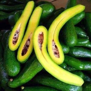 bo-sap-da-xanh-e1652780007399