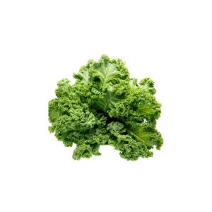 lettuce